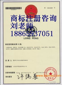 東營商標(biāo)注冊(cè)代理公司 東營商標(biāo)注冊(cè)成功率,東營商標(biāo)注冊(cè)代理公司 東營商標(biāo)注冊(cè)成功率生產(chǎn)廠家,東營商標(biāo)注冊(cè)代理公司 東營商標(biāo)注冊(cè)成功率價(jià)格